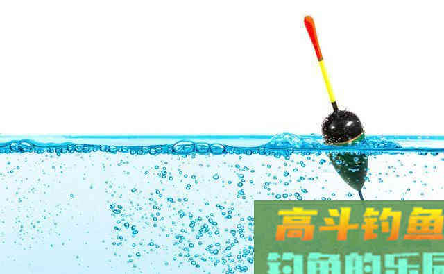 同款饵别人有口，自己没口，什么造成这种局面