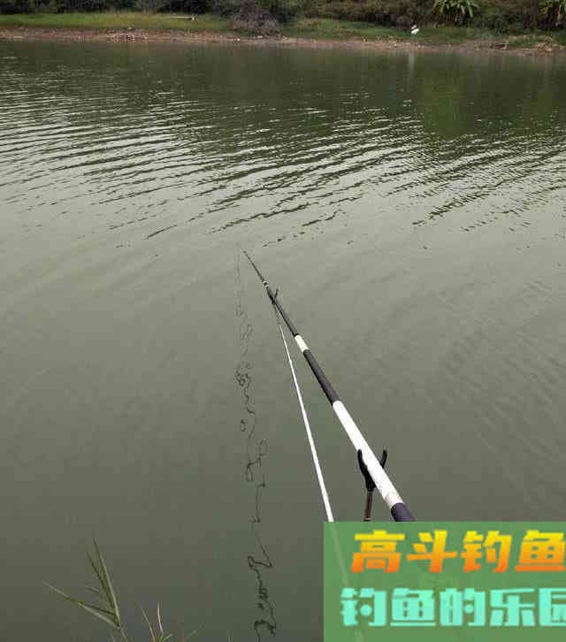对人体十分重要的东西，钓鱼的时候加点效果怎样？