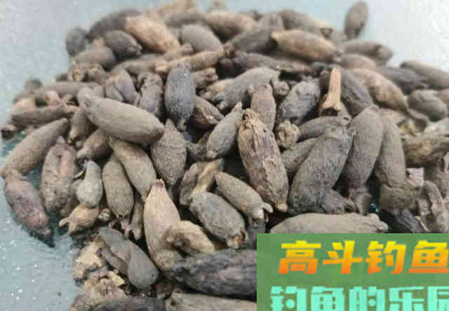 它是最常见的钓鱼香料，但不能大量添加