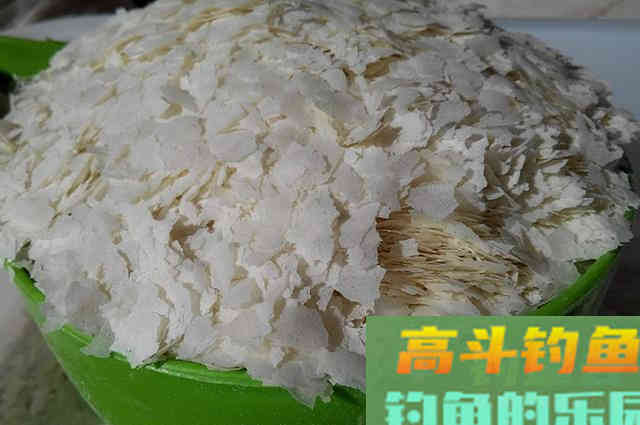 坑冠达人分享自制饵料配方，黑坑钓鱼想上岸的别错过