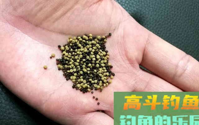 反状态开饵法：浮水颗粒不浸泡，实现立体诱钓出全效