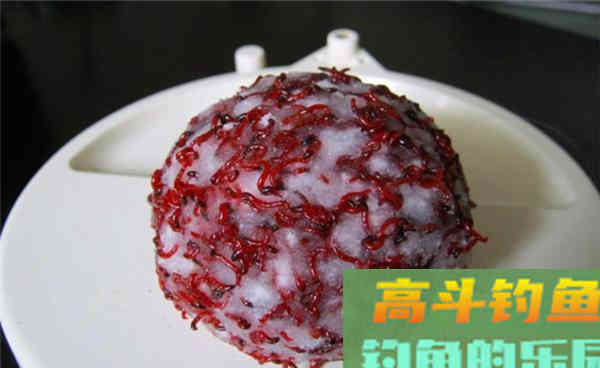 晚秋钓鲫鱼，红虫饵料的4种挂钩方法，助你连竿