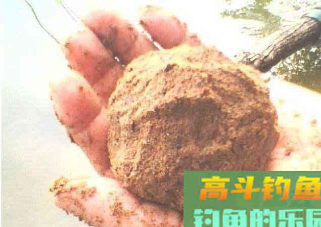 几种饵料状态的配置，学会可应对大多数鱼情