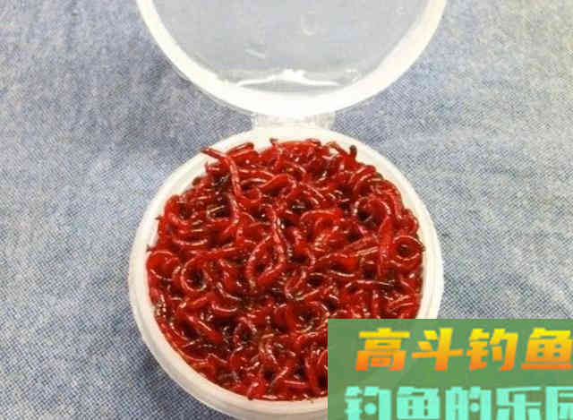 垂钓领域中的本源钓饵，作钓各个鱼种里的权威存在