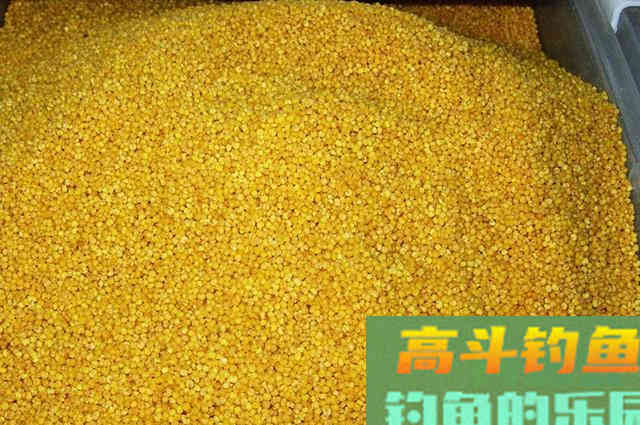 民间收集来的野钓鱼饵配方，总有你需要的