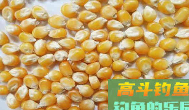 这几种动物便便，拿来做窝料，穿透力超乎想象
