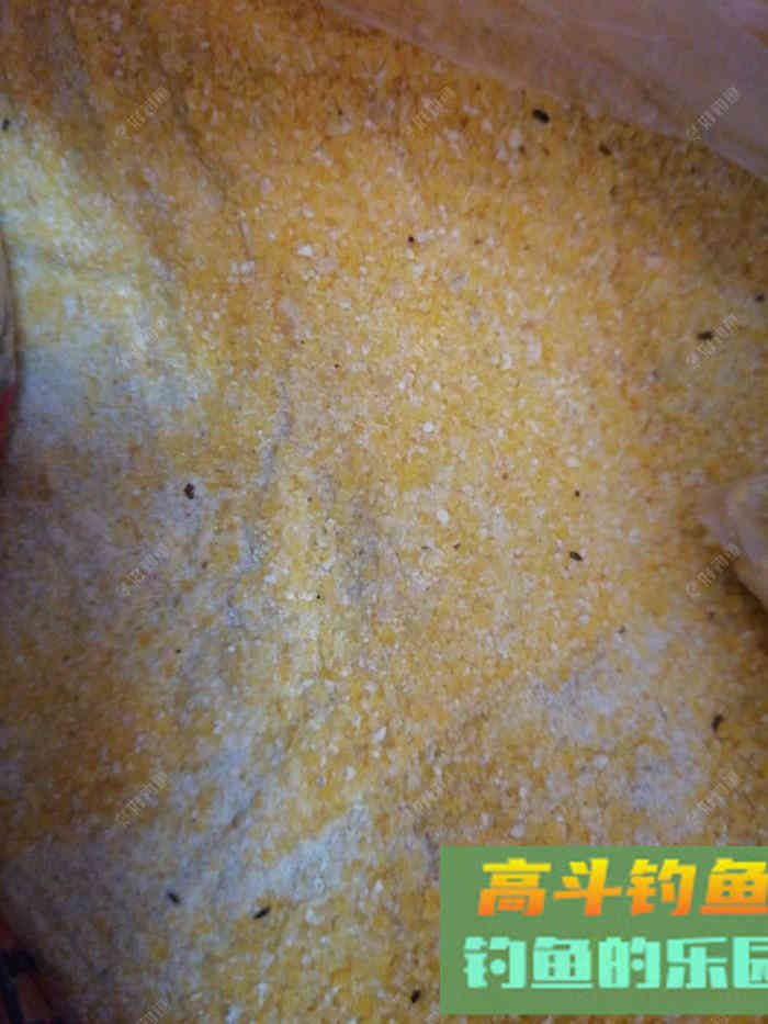 钓鱼从饵料味型分析，如何搭配，讲透基础饵和主攻饵