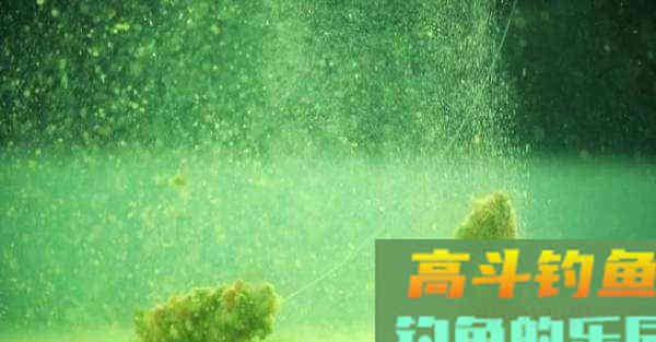 如何控制饵料的雾化速度与状态？在这里讲明白