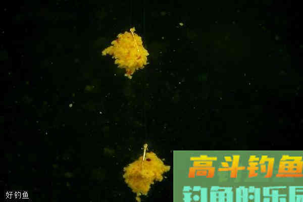 钓鱼拉饵使用进阶攻略 调整拉饵状态的小技巧