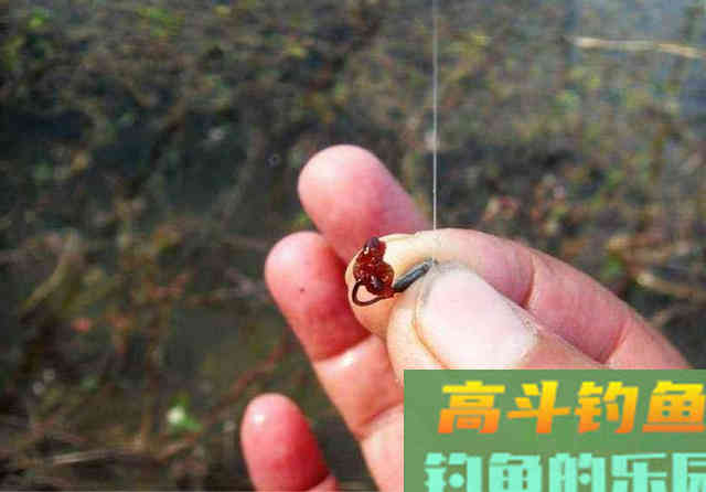 与其痴迷所谓的万能饵料配方，不如掌握更多的钓技