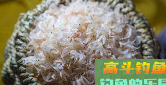 密不外传的冬钓用饵5字口诀，学会的钓友偷偷用吧