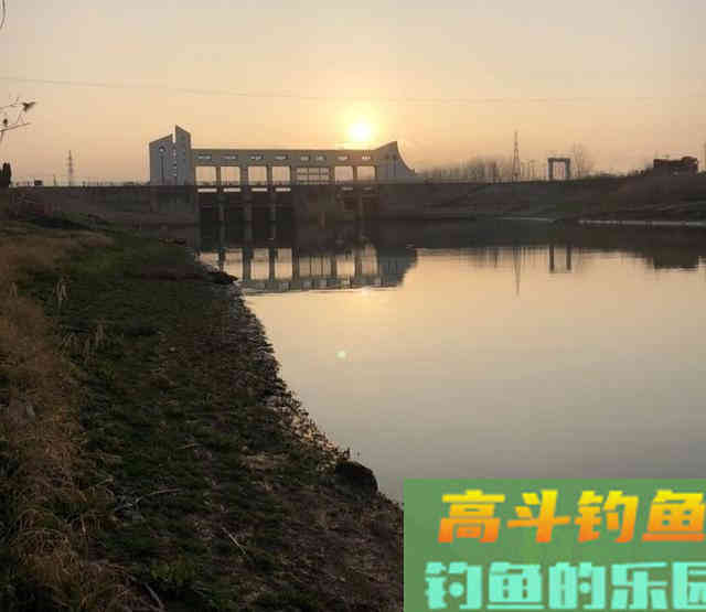 野外钓鱼，制作最简单的诱鱼窝料，钓获野生大板鲫鱼和鲤鱼