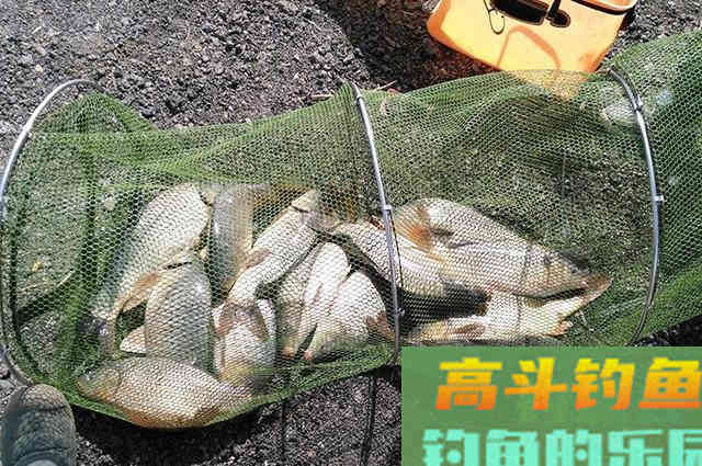 坑冠达人分享自制饵料配方，黑坑钓鱼想上岸的别错过