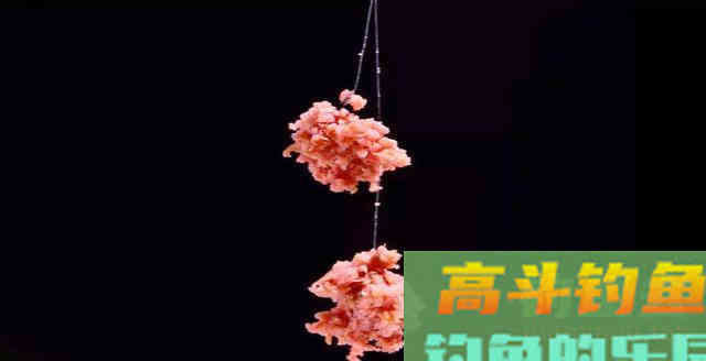 详解4种饵料介绍，特点和注意事项