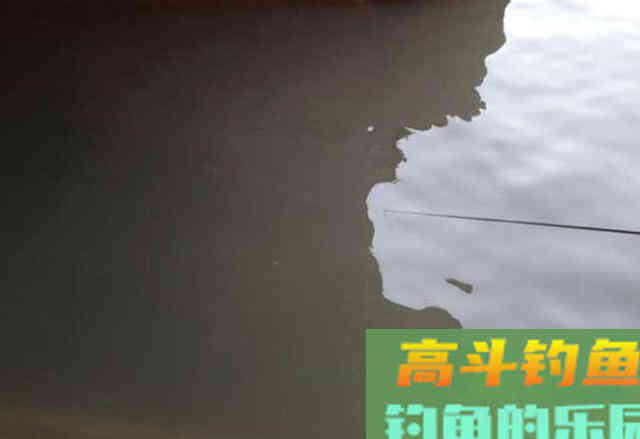 万能鱼饵非蚯蚓莫属？不，还有苍蝇也可以钓鱼