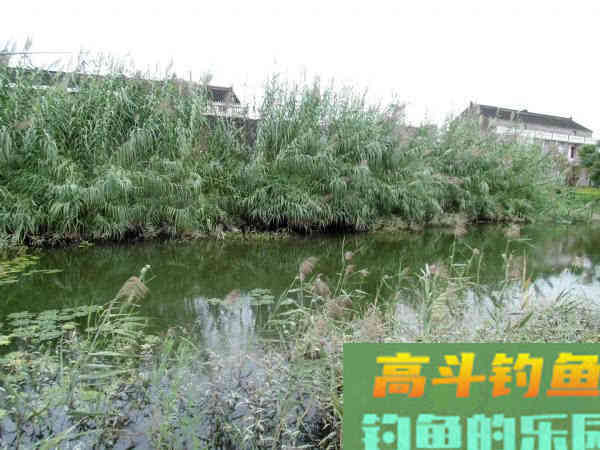 冷天钓鱼别只单挂蚯蚓红虫，多一个小步骤事半功倍