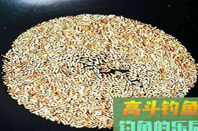 自制酒米鱼不吃？不是鱼挑食，问题出在这些地方