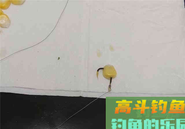 嫩玉米这样挂可大幅提高中鱼概率，不同的鱼用不同挂法