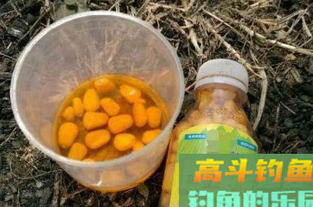 用玉米钓鱼的五个技巧，别忽视