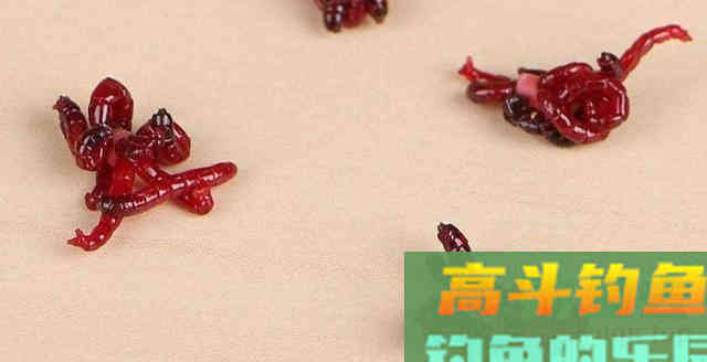 脆弱的红虫饵如何保存？有3套常用法，让红虫持续鲜嫩