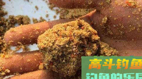钓鱼久守无口，先不要看漂，看是不是饵料有问题