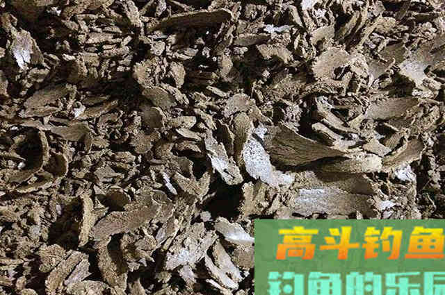 野钓大鲫鱼饵料配方分享，四季钓鱼都能用