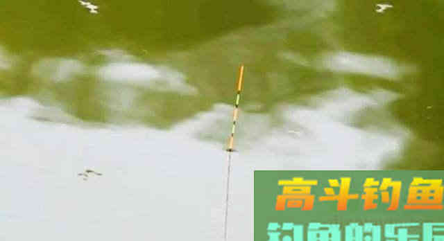 用蚯蚓野钓，怎么调钓，才能灵钝自由转换