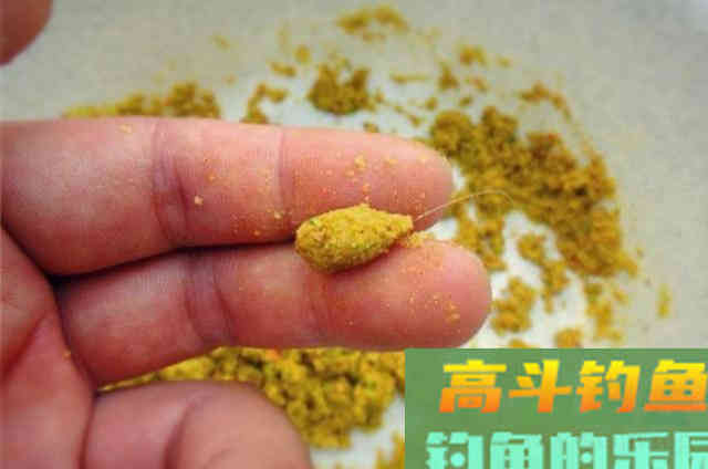 仲秋垂钓鲤鱼，高手总结一些用饵规律与技巧