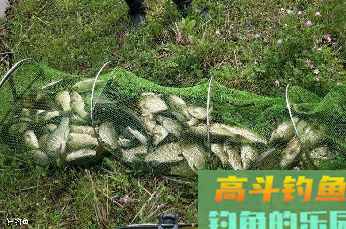 酒米中还可以加些什么会使效果更好呢？