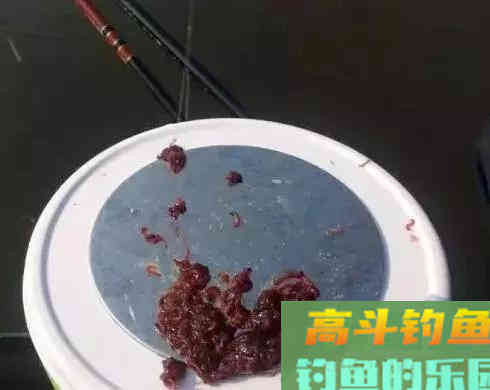红虫不同场合下做钓饵技巧，用好了隔壁老王都眼红