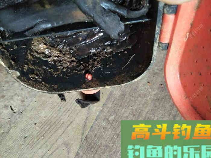 浅谈我的多种蚯蚓养殖方法