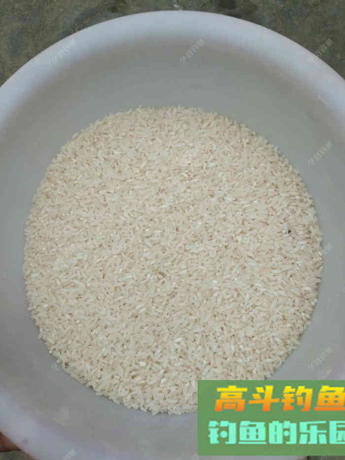 悻悻归来，静下心来制作酒米