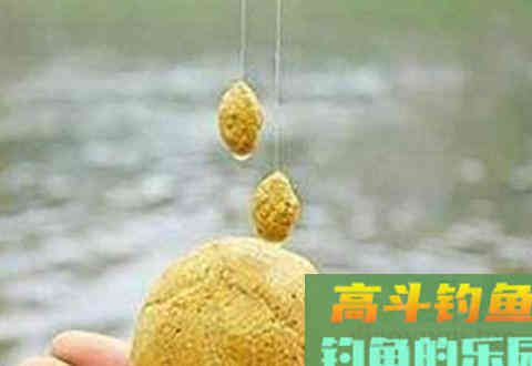 鱼情不同，搓饵的大小和形状也不同，这是为什么呢