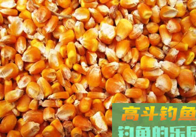 这款自制窝料一般人做不了，因为：用料多步骤繁杂