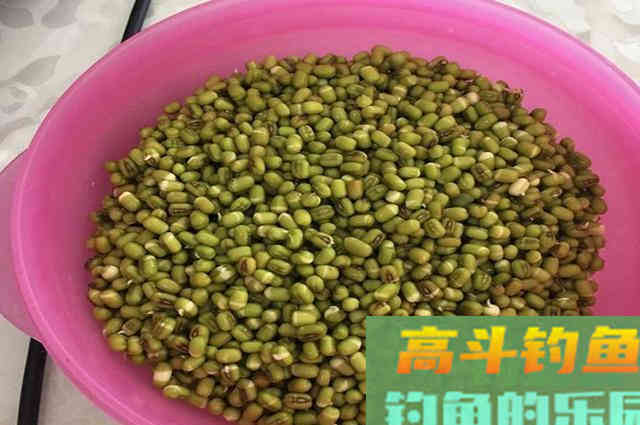 用五谷杂粮做窝料，诱鱼效果不比买的差