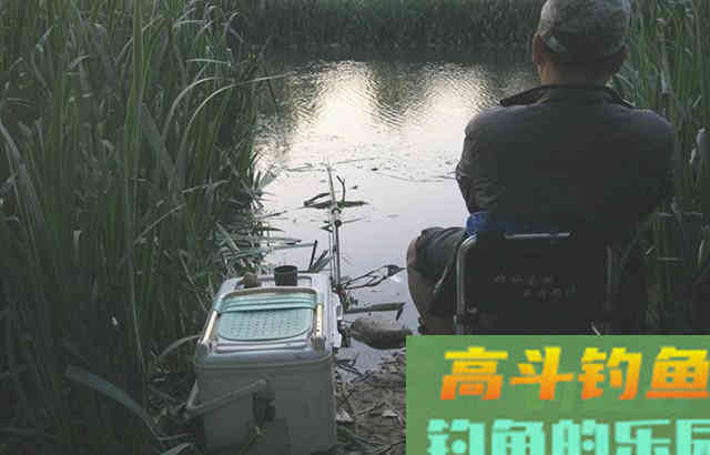 自制玉米饵，打窝钓鱼都能用，鲤鱼草鱼都爱吃