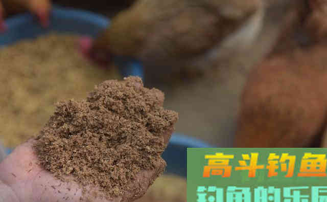 用鸡饲料钓鱼的一些技巧，垂钓诱鱼非它不可