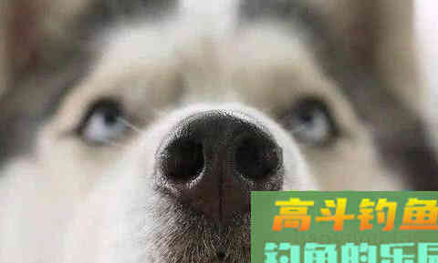 别迷信小药的穿透力，搞明白味型，还是要看这几个方面