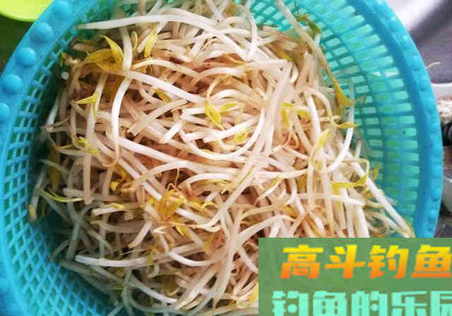 老钓友分享珍藏窝料配方，专攻大鲤大草鱼