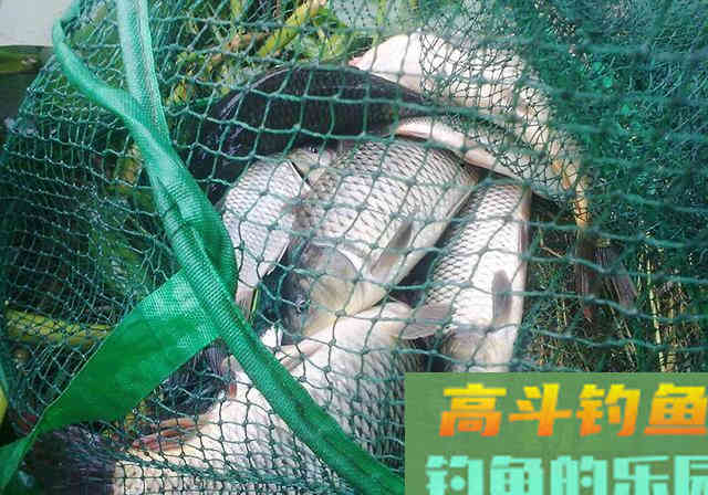 老钓友分享珍藏窝料配方，专攻大鲤大草鱼