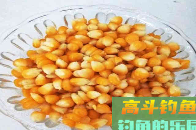 自制钓鱼玉米粒，不注意这几点，钓效差怪不得别人