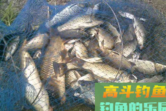 不到8块钱的民间钓鱼配方，制作简单鲫鱼鲤鱼却都爱吃