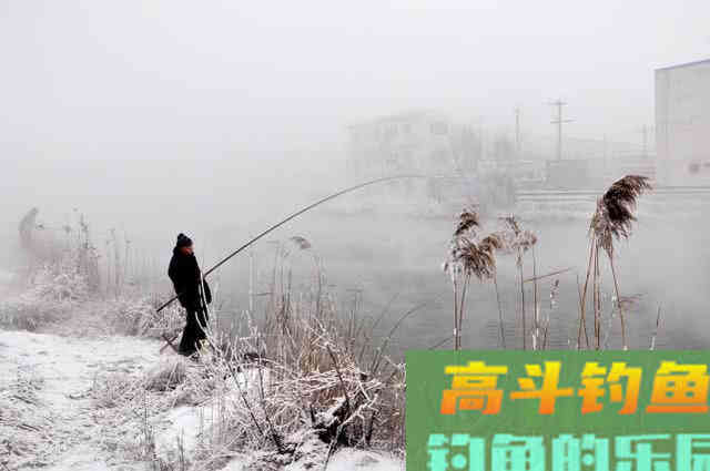 钓鱼中的两种油，在钓饵中广泛使用效果好