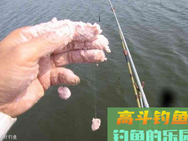 用钓饵做诱饵诱鱼的技巧