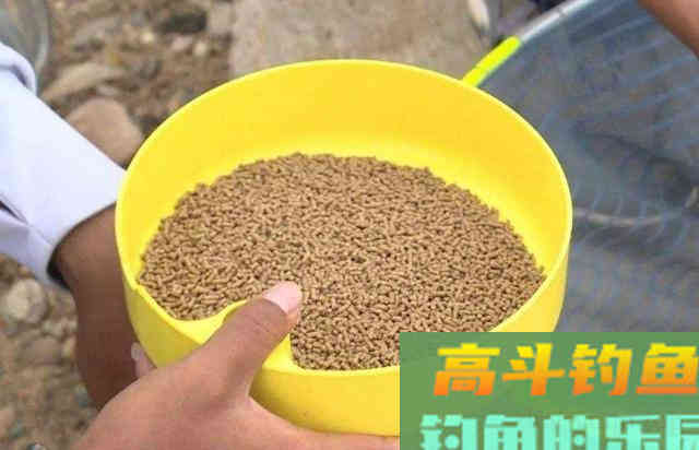 冬季户外野钓鲫鱼时，可以直接选用的一款自制饵料