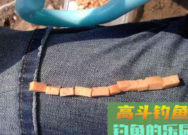 火腿肠也能钓鱼？用白酒、红糖、氨基酸泡制后，有效