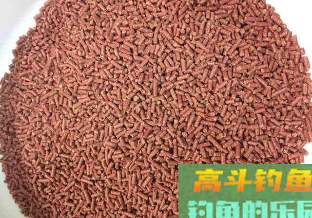 一套看似外行的装备，却演绎出饲料钓鱼的精髓