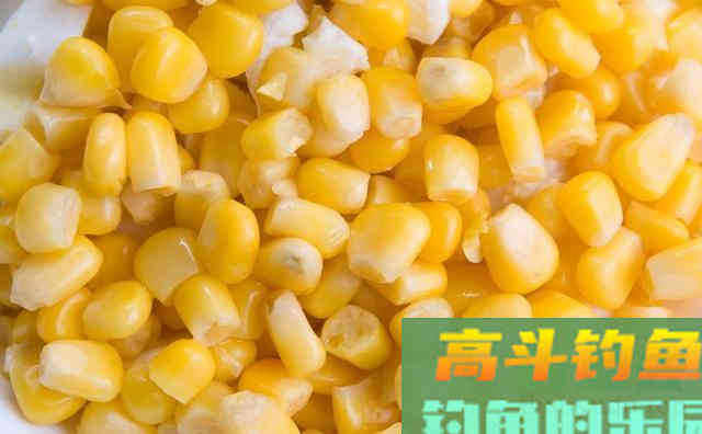 加蜂蜜能防止饵料变质？事实正相反，