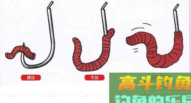 野钓的一款好的万能饵，这是一款最简单的