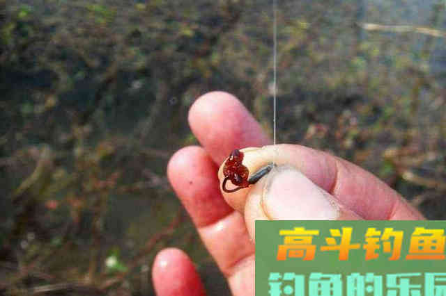 在现在这个难上鱼的季节里，要从饵料上下功夫